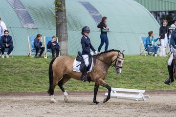 Bild 357 - Pony Akademie Turnier
